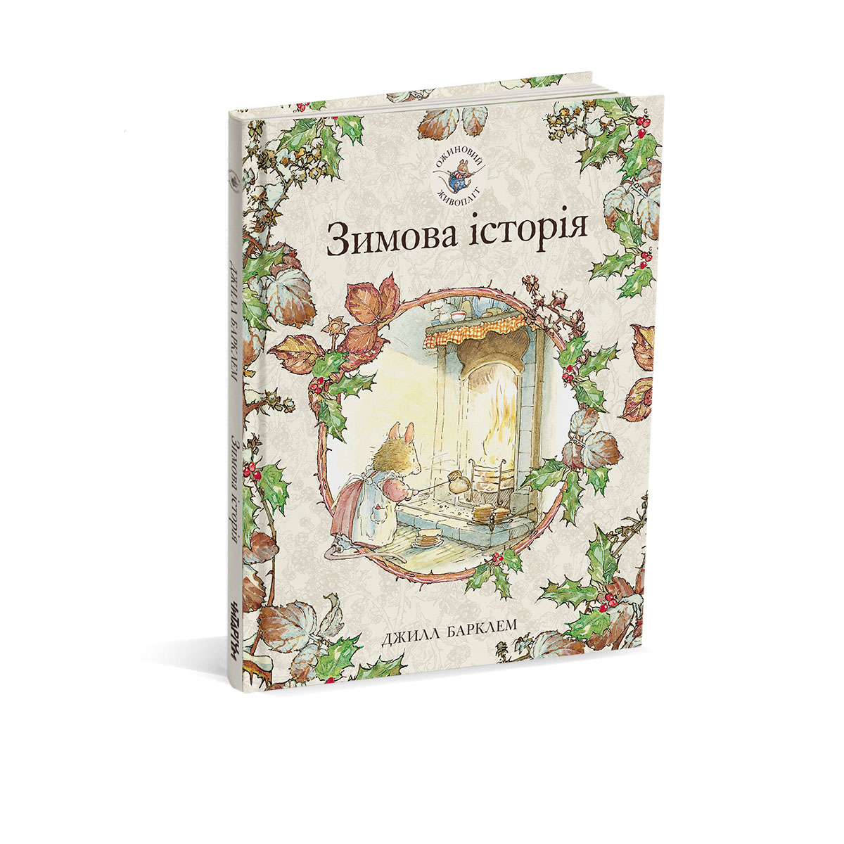 Зимова історія обложка