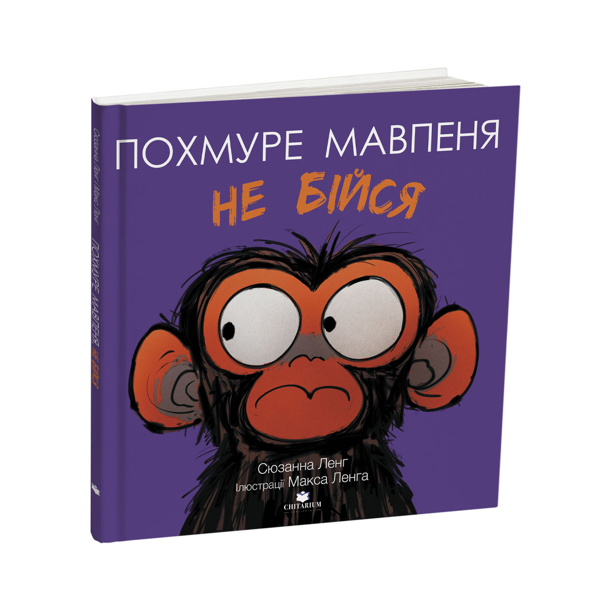 Pokhmure-mavpenia-ne-biisia-obkladynka