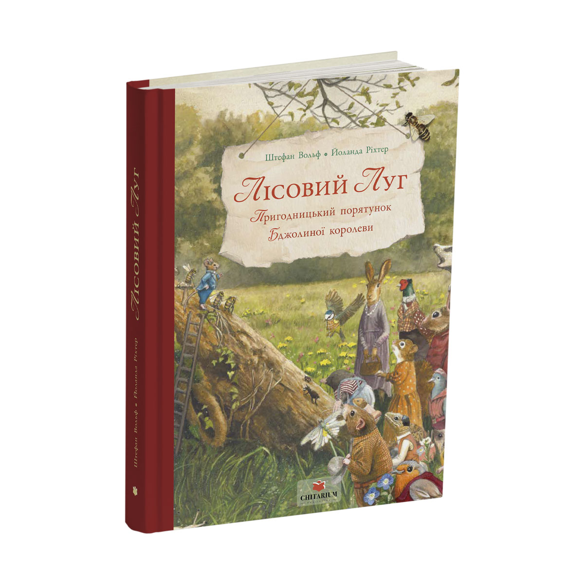 Lisovyi-luh-obkladynka