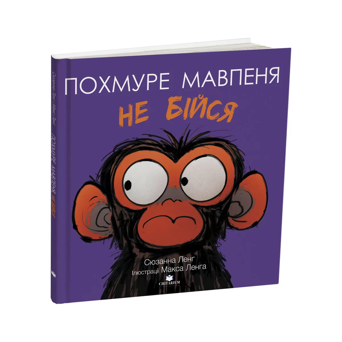 Pokhmure-mavpenia-ne-biisia-obkladynka