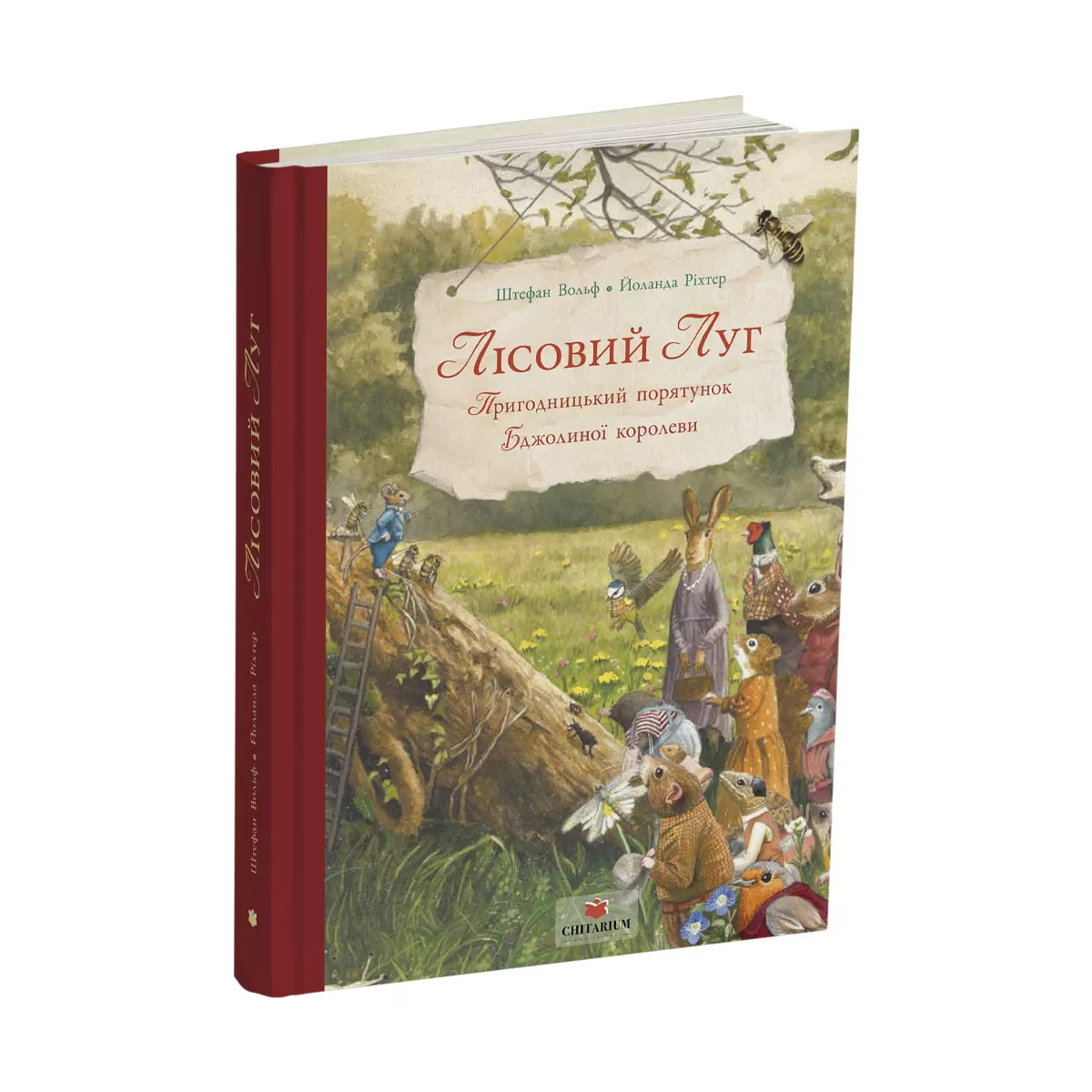 Lisovyi-luh-obkladynka